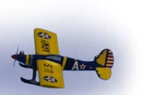 Precedent Fun Fly